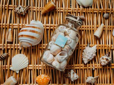seashell decorations for your bedroom