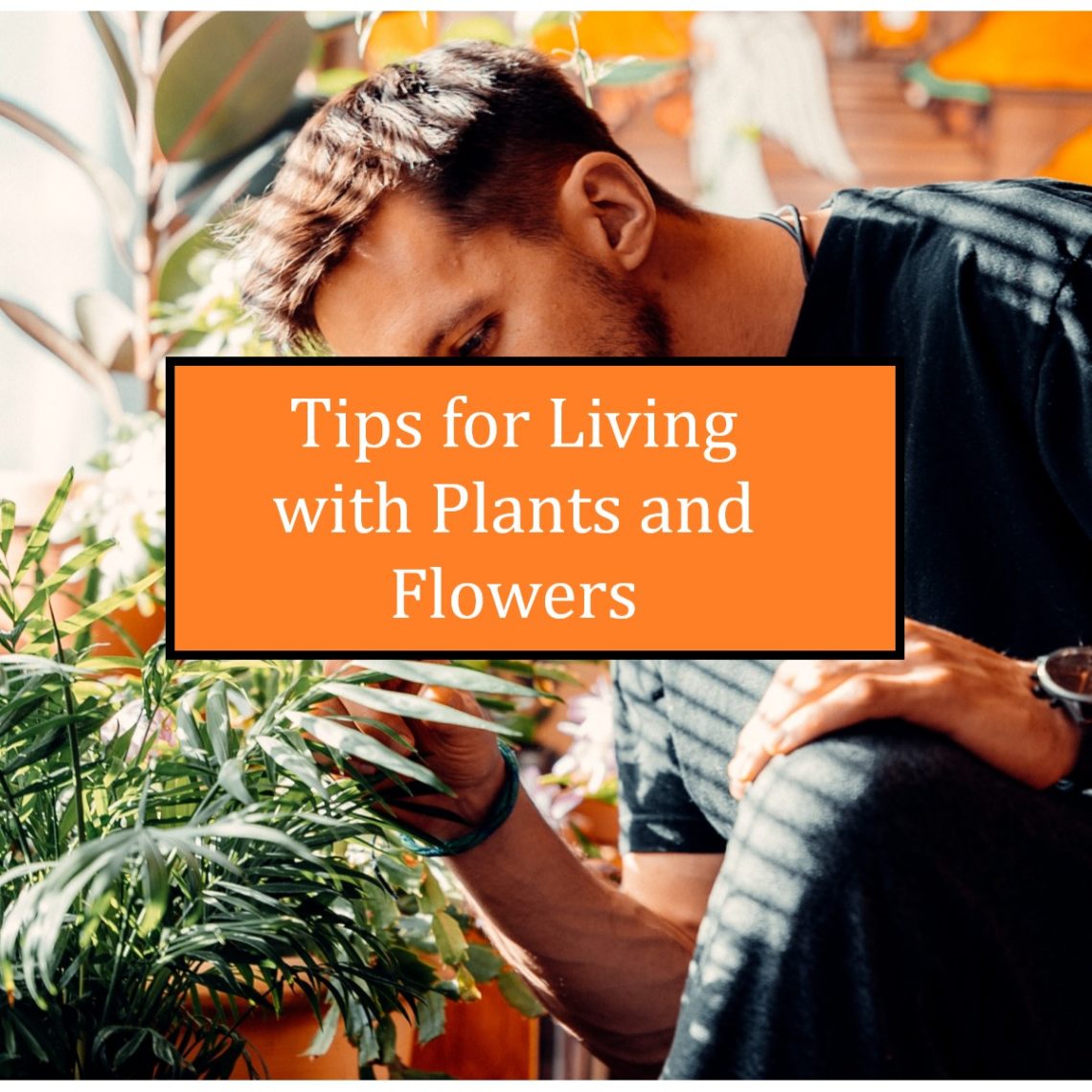 living with plants